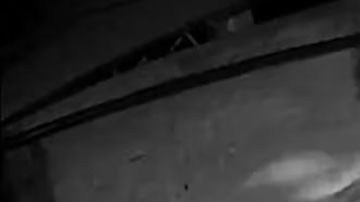 Secuestro en México