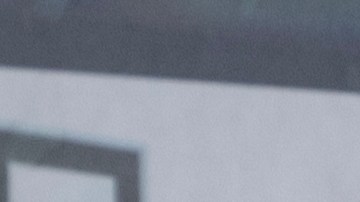 Cupones SNAP: $292 con envío automático para estas personas