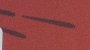 Cupones SNAP en Florida: quiénes recibirán su dinero esta semana