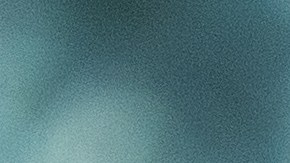 La niñera dejó a los niños solos con sus cuatro perros bullying americanos XL en su casa en Texas.