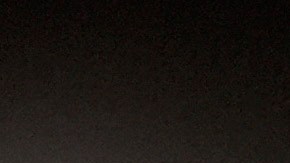 Coalición promigrante de Florida rechaza amenaza de Trump de frenar protección a haitianos