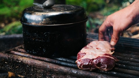 Unas 10 personas enfermaron por comer carne de oso mal cocida en Carolina del Norte