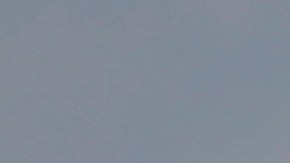 La Administración Federal de Aviación dijo en un comunicado que estaba investigando el incidente.