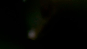 In this image taken on Monday, Oct. 15, 2018, wine grower Adelino Pizzobon checks a bunch of grapes in a Prosecco vineyard at the Case Paolin farm, in Volpago del Montello, Italy. Global sales of prosecco the smooth, drinkable sparkling wine rooted in the northeastern hills of Italy are booming, and champagne, the original bubbly, is taking note. (AP Photo/Luca Bruno)