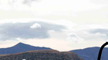 Violencia en México