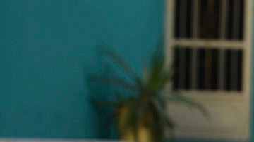 Violencia en México