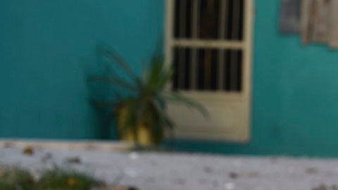Violencia en México