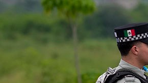 Violencia en Sinaloa