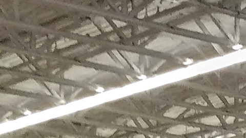 Walmart errores