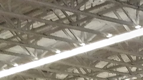 Walmart errores