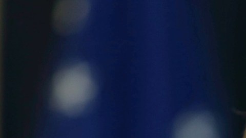 Steve Bannon, exasesor de Donald Trump sale de prisión.
