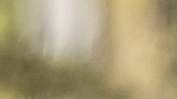 (FOTOS) Zoë Kravitz es vista después de romper su compromiso