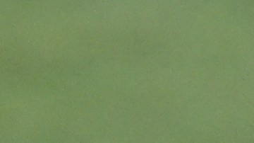 Andreas Pereira y Raphinha, jugadores de la Selección de Brasil durante un entrenamiento preparatorio para el partido contra Perú este sábado en el estadio Valmir Campelo Bezerra en Brasilia.