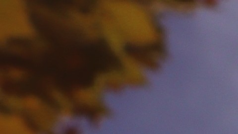 Estos 3 signos tendrán mucho amor en sus corazones en el otoño.