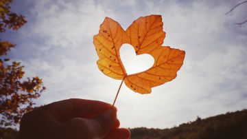 Estos 3 signos tendrán mucho amor en sus corazones en el otoño.
