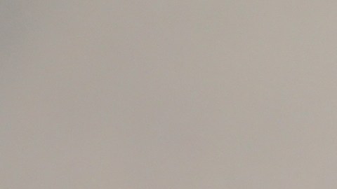 10 artículos en Costco que te harán ahorrar a lo grande