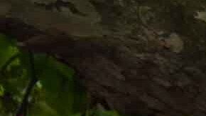 La casa de la película 'Beetlejuice Beetlejuice' abrirá sus puertas para los fans del proyecto.