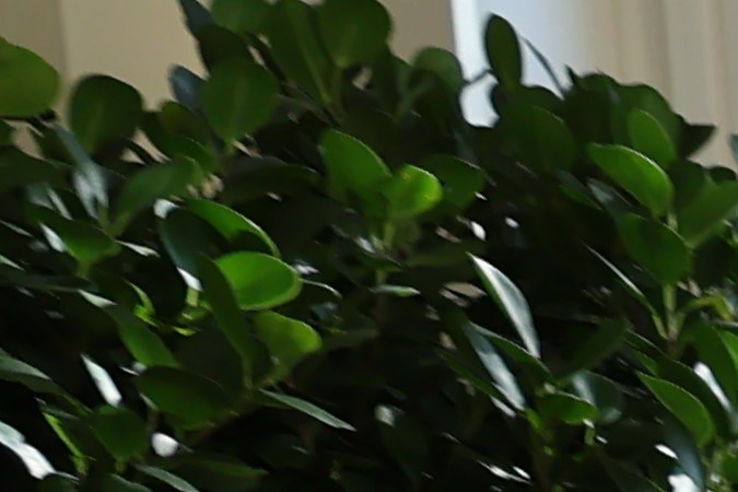 Empleados y visitantes de la Casa Blanca honraron a sus difuntos con una ofrenda del Día de Muertos.