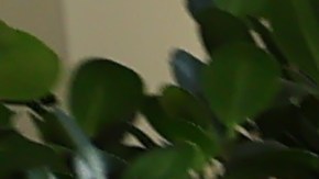 Empleados y visitantes de la Casa Blanca honraron a sus difuntos con una ofrenda del Día de Muertos.