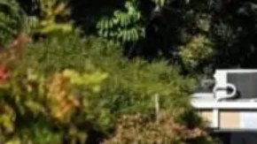 “El primer ministro y su esposa no se encontraban en el lugar, y no hubo heridos en el incidente”, señaló un comunicado.