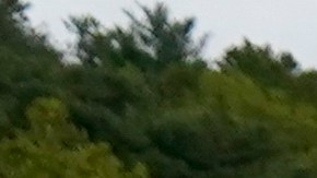 Asheville fue la zona más golpeada de Carolina del Norte por el huracán Helene.