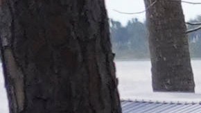 Las autoridades de Carolina del Sur han dado cuenta hoy de 33 decesos a causa de Helene.