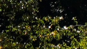 La Oficina de Investigaciones de Tennessee ha iniciado la investigación sobre la respuesta de evacuación de la planta Impact Plastics.