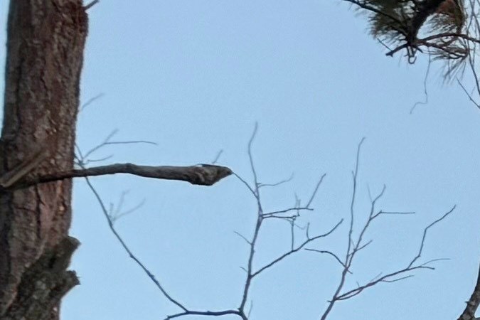 Biden visita zonas afectadas por Helene