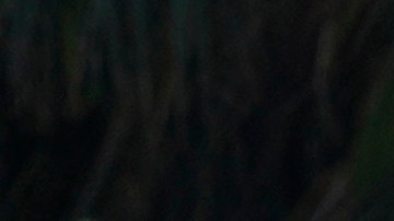 ordenó al Departamento de Defensa enviar hasta 1,000 soldados en servicio activo a las zonas de desastre afectadas por Helene