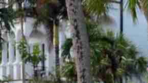 El huracán Milton llegará este miércoles a Florida.