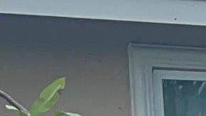 El huracán Milton deja hasta ahora en su paso por la península de Florida graves inundaciones por lluvias y marejada ciclónica, destrozos, centenares de miles de personas evacuadas y al menos 10 muertos.