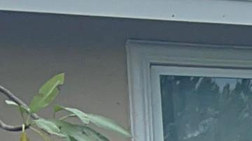 El huracán Milton deja hasta ahora en su paso por la península de Florida graves inundaciones por lluvias y marejada ciclónica, destrozos, centenares de miles de personas evacuadas y al menos 10 muertos.