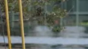 Vecinos de Tampa se adentran en una zona inundada.