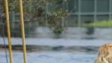 Vecinos de Tampa se adentran en una zona inundada.