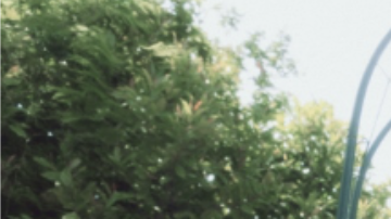 The Warning recibió una nominación al Latin Grammy por su tema Qué más quieres.