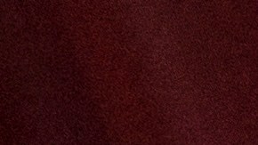 Un juez electoral, a la derecha, ayuda a guiar la boleta de un votante hacia una máquina de votación en las elecciones primarias de Pensilvania, el 17 de mayo de 2022.