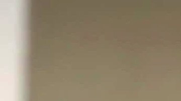 Marcus Ornellas Ariadne Díaz José Ron