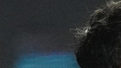 Messi celebra uno de los 3 goles que le marcó a New England Revolution.