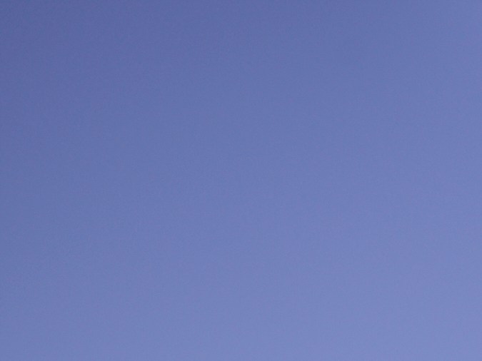 Como parte del evento "Birriamanía" en Santa Anita Park, también habrá actividad de la tradicional lucha libre mexicana.