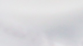 $600,000 para la persona que tenga esta moneda especial de 25 centavos