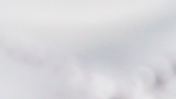 $600,000 para la persona que tenga esta moneda especial de 25 centavos