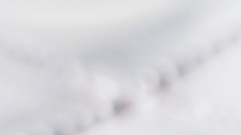 $600,000 para la persona que tenga esta moneda especial de 25 centavos