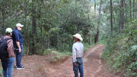 Para entrar al macizo hay que manejar tres horas desde la capital y ascender la montaña por un camino escabroso.