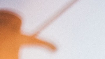 Los signos del zodíaco más amables según la astrología