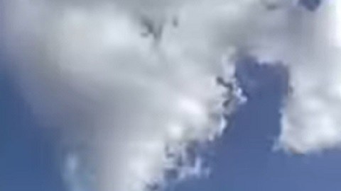Trabajadores de la compañía eléctrica impidieron al hombre robar un generador que posiblemente resultó dañado tras el paso del hurac´´an Milton por Florida.
