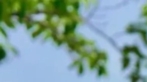 Toshiyuki Mimaki, copresidente de la organización que recibió el galardón.