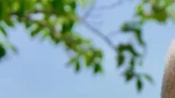 Toshiyuki Mimaki, copresidente de la organización que recibió el galardón.