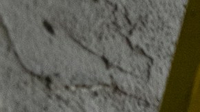 Alrededor de 60 voluntarios se unieron para mejorar la apariencia de una iglesia en Compton.