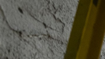 Alrededor de 60 voluntarios se unieron para mejorar la apariencia de una iglesia en Compton.