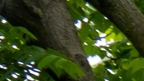 Las puertas de la luna tienen un significado espiritual.